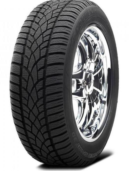 recensioner dunlop sp vinter sport 3d 225 45 r17