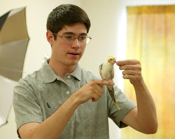 Hur man lär en papegoja Corella att tala: råd till ägaren