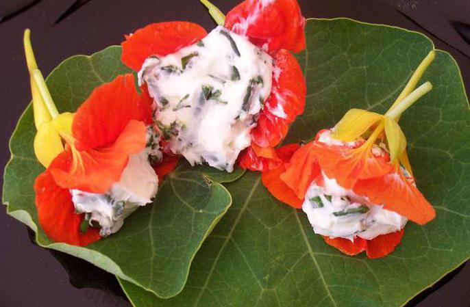 nasturtium plantering och utomhusvård