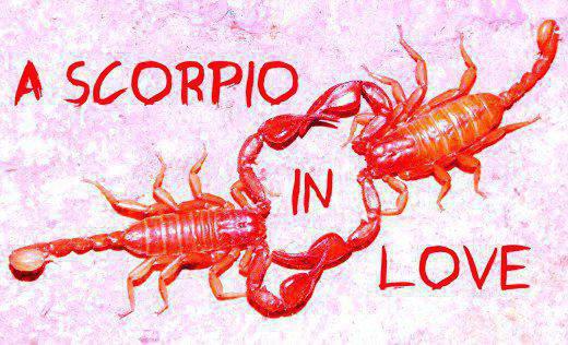 Hur man blir kär i en Scorpio-man? Teckenets egenskaper. Hur man förstår att en Scorpio-man är kär