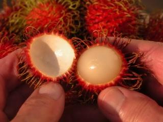 Rambutan: En frukt som är hemskt ute och vackert inuti