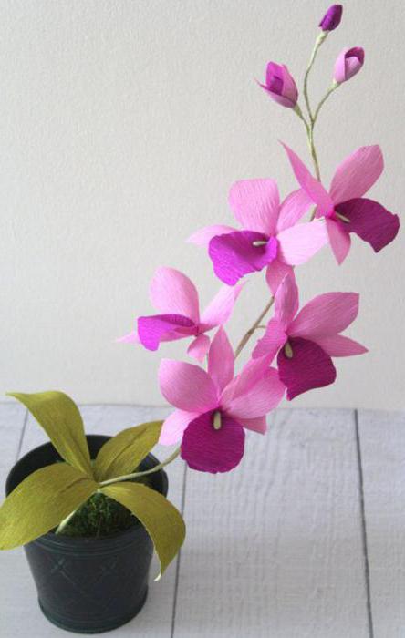 Blommor med egna händer: En orkidé gjord av wellpapp