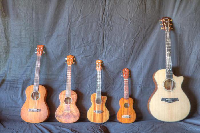 Vad du behöver veta för att justera ukulele