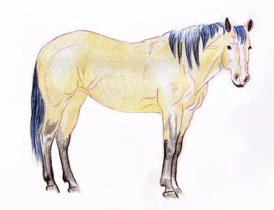 Hur man ritar en häst med en enkel penna