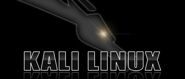 kali linux-installation på en flash-enhet