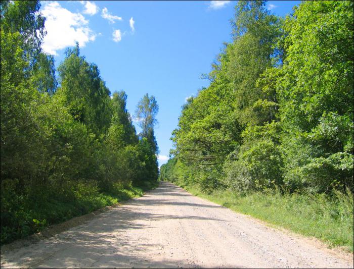 svamp i Tula-regionen