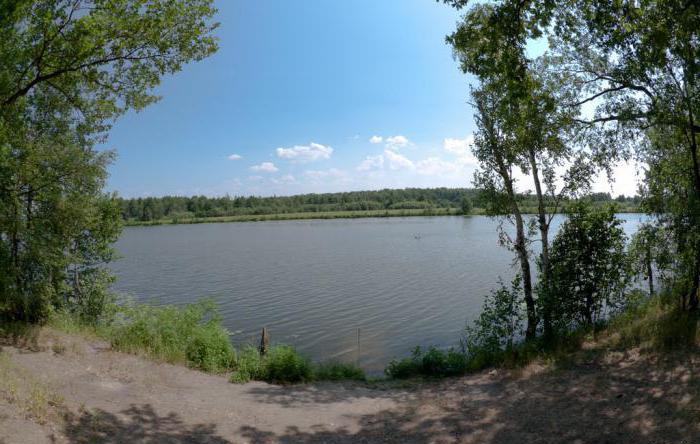 Sjöar i regionen Nizhny Novgorod. Kort beskrivning av de bästa reservoarerna för fiske och rekreation