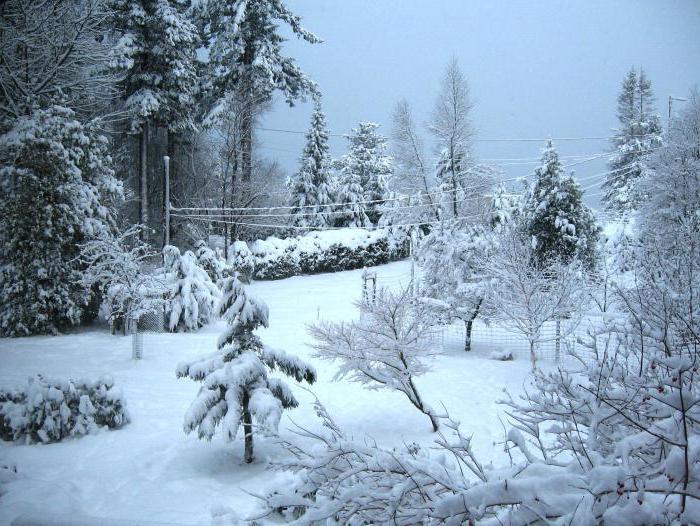 ordspråk om vinter för skolbarn