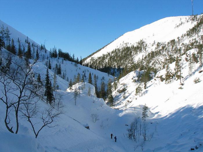 Taigaens geografiska läge. Funktioner av taiga geografiska läge