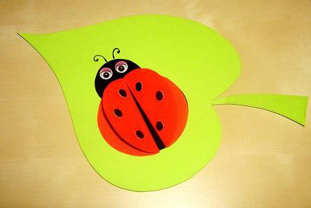 applique ladybird medium grupp