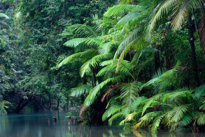 Cape York Australien