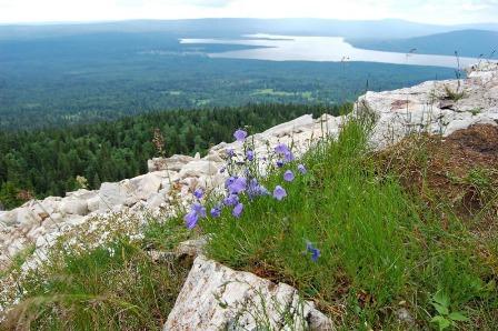 rekreationscenter björkområde Chelyabinsk regionen