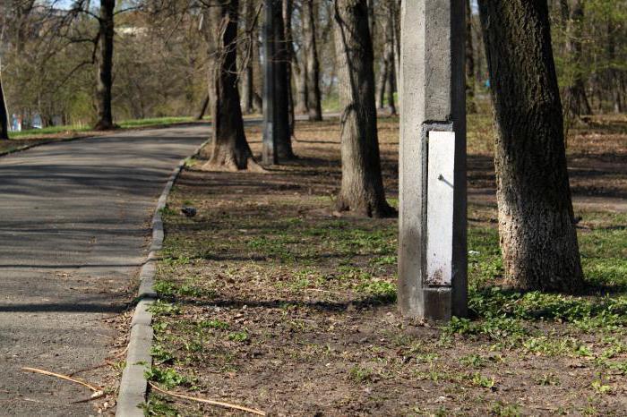 Botaniska trädgården i Kiev: den. Fomin, på Pechersk, till dem. Grishko