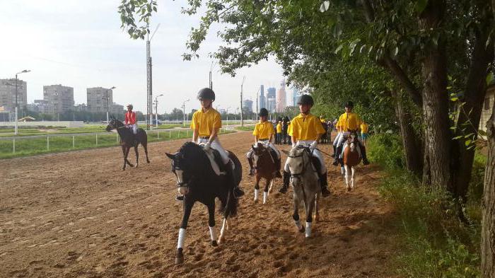 Horse Park "Rus" - en plats för väckelse av traditionerna för rysk hästavel och underhållning för hela familjen