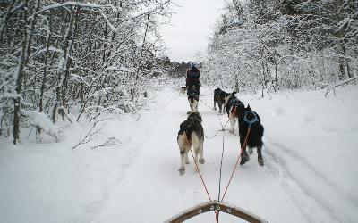 var att åka på vila på vintern