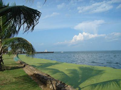 Lake Maracaibo 