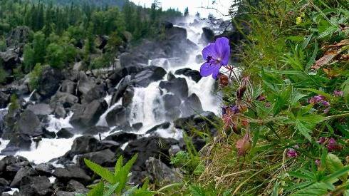 vattenfallskranar på Altai