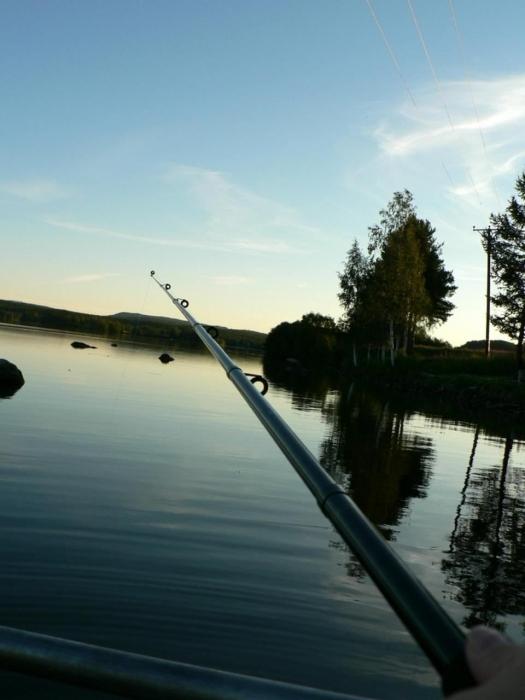 Fångande bröd - spännande fiske