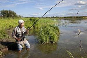 Hur man gör en napp för en crucian karp