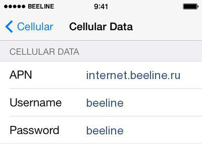 hur man ställer upp internet på iphone 5s beeline