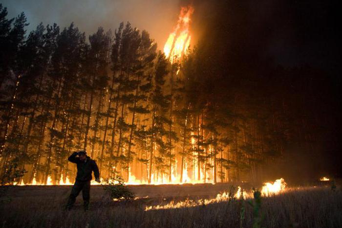 Den avgörande riktningen i elden: 5 principer. Brandbekämpningsplan