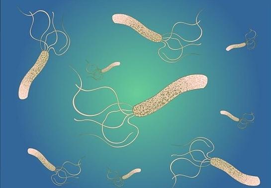 Helicobacter pylori behandling med folkläkemedel